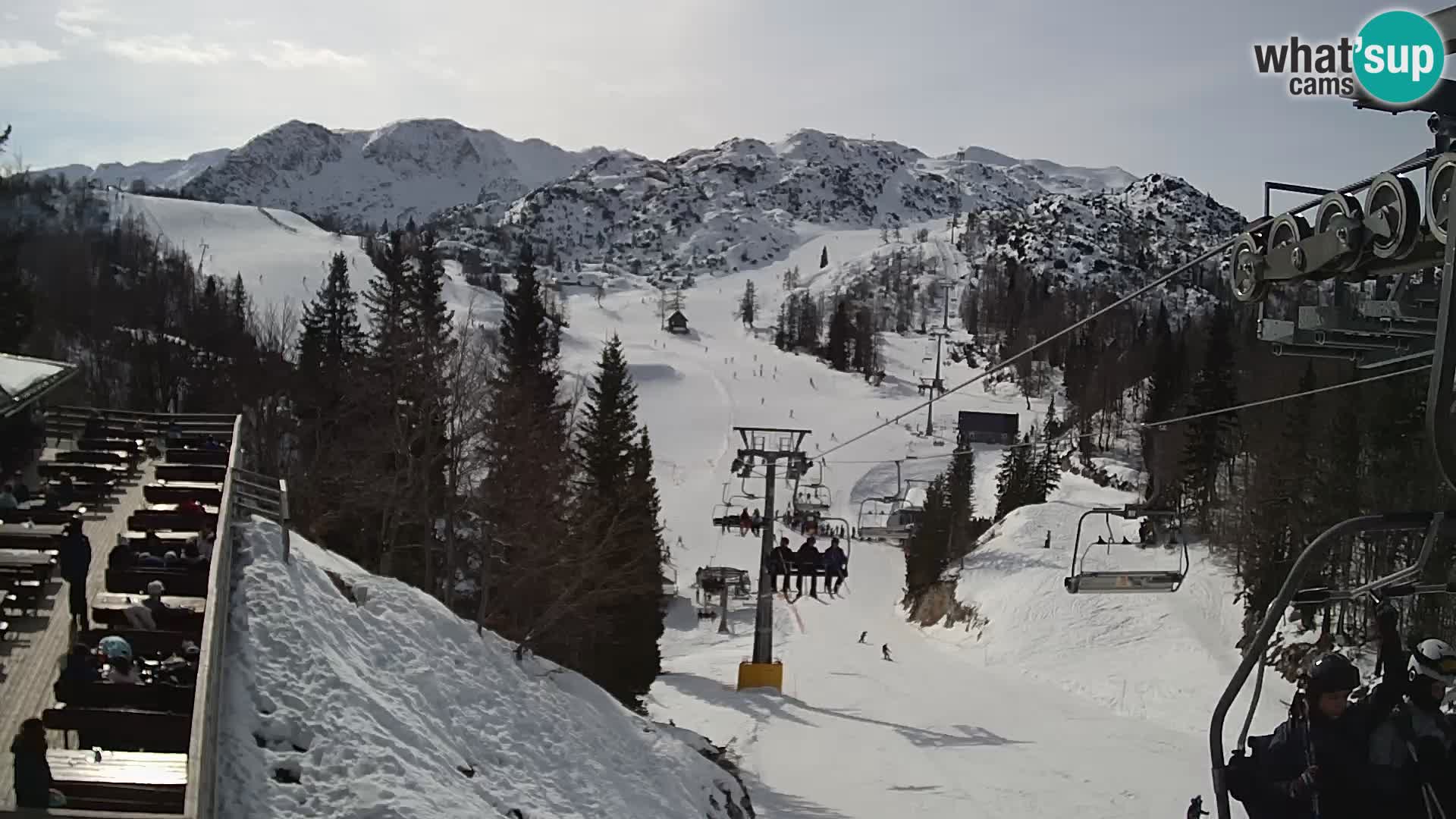 Vogel Live webcam – Brunarica – Slovénie