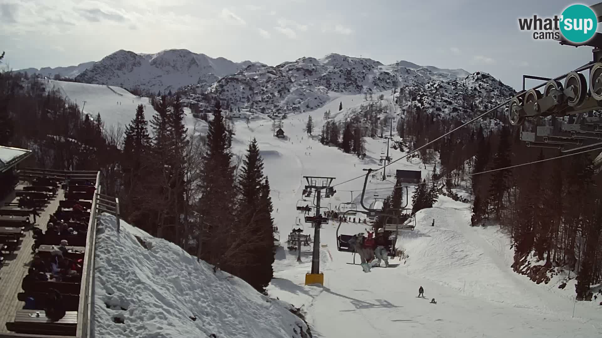 Vogel spletna kamera – Brunarica – Bohinj