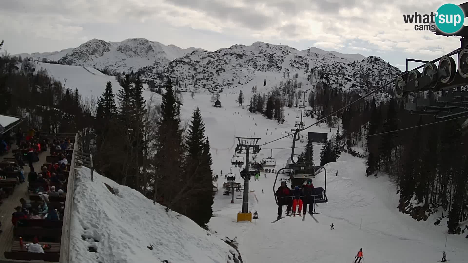 Vogel Live webcam – Brunarica – Slovénie