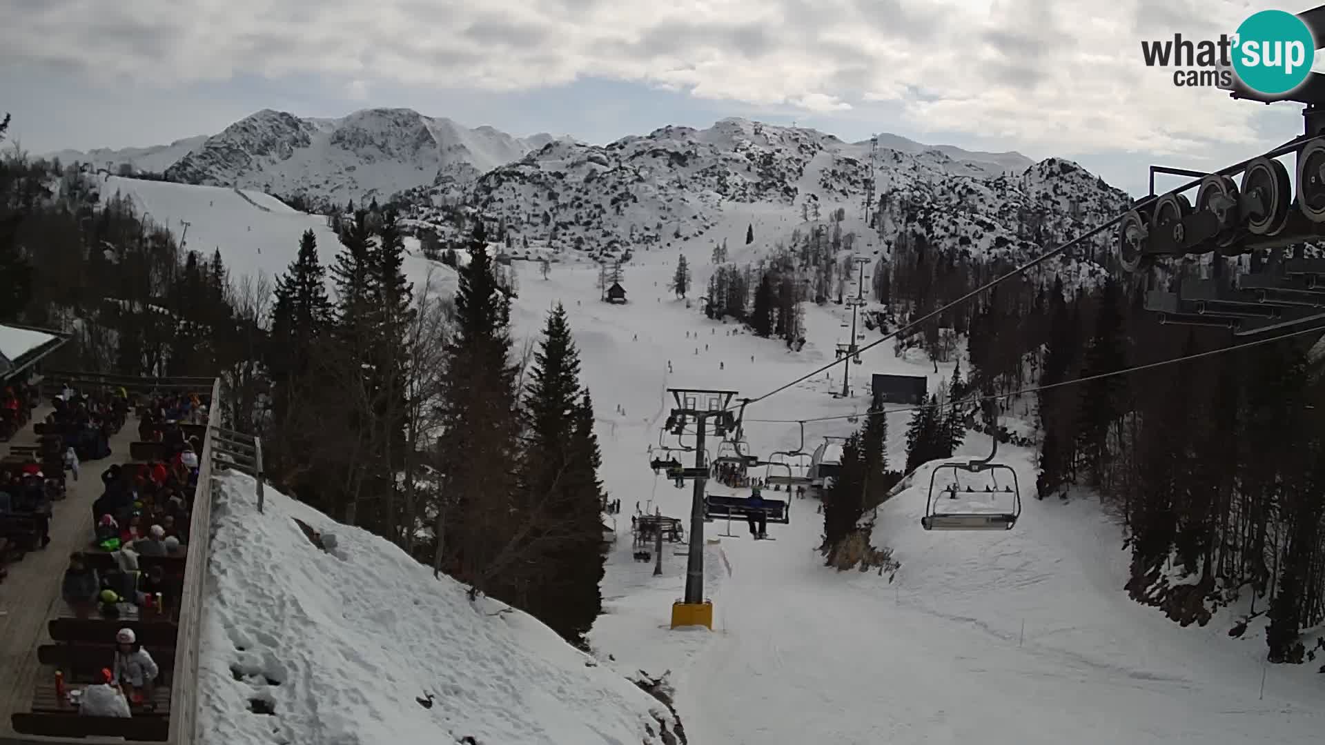 Vogel Live webcam – Brunarica – Slovenia