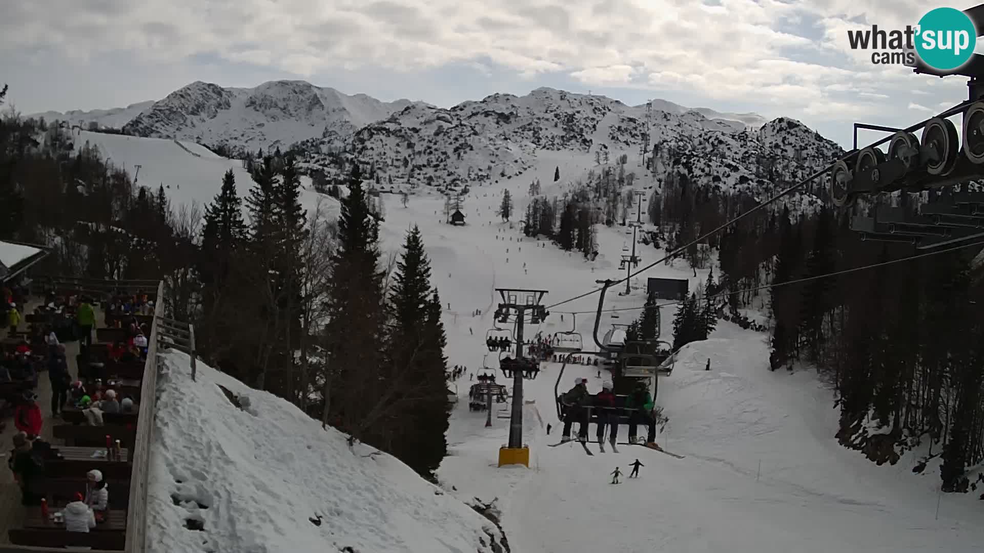 Vogel spletna kamera – Brunarica – Bohinj