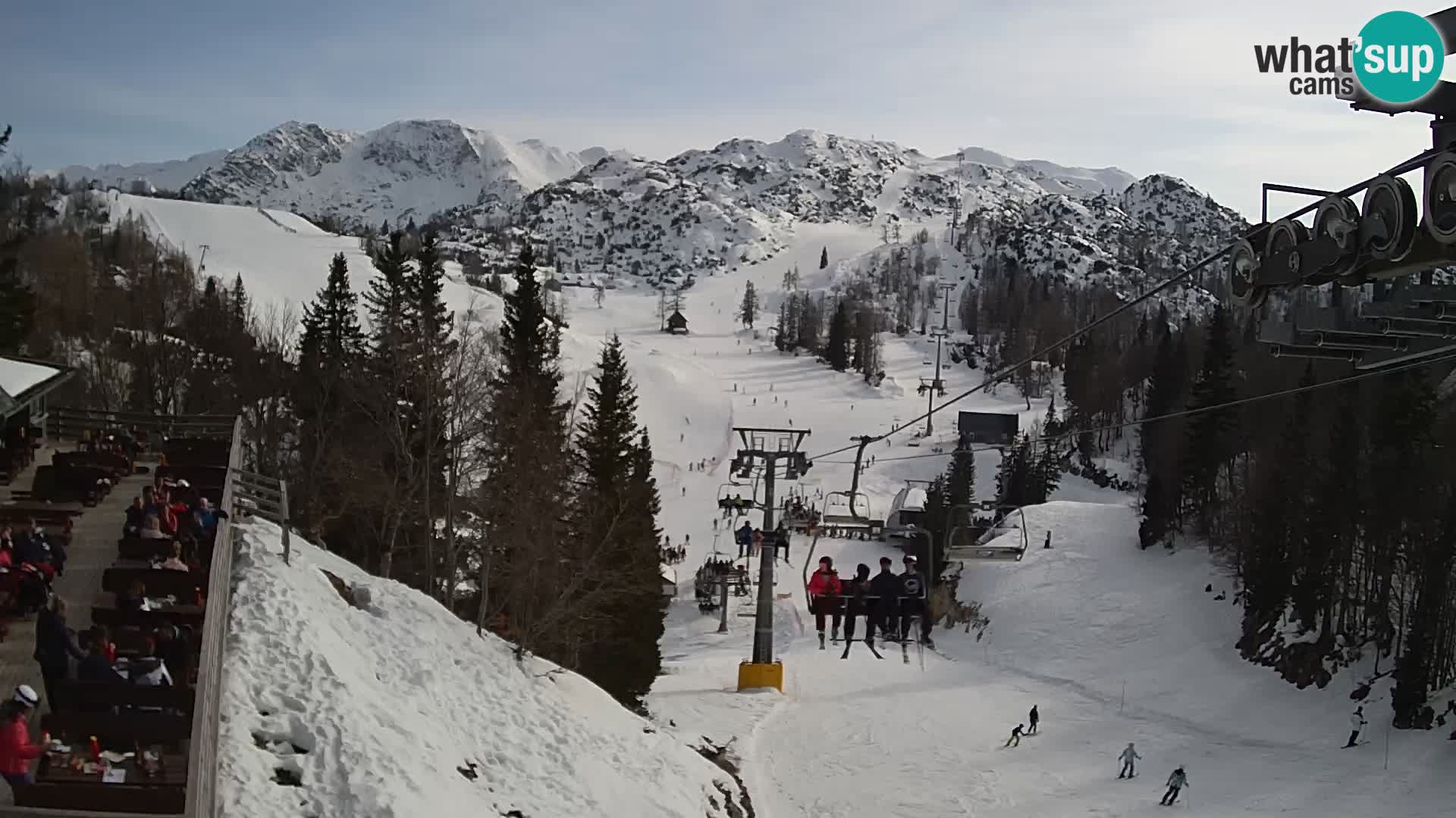 Vogel web kamera – Brunarica – Slovenija