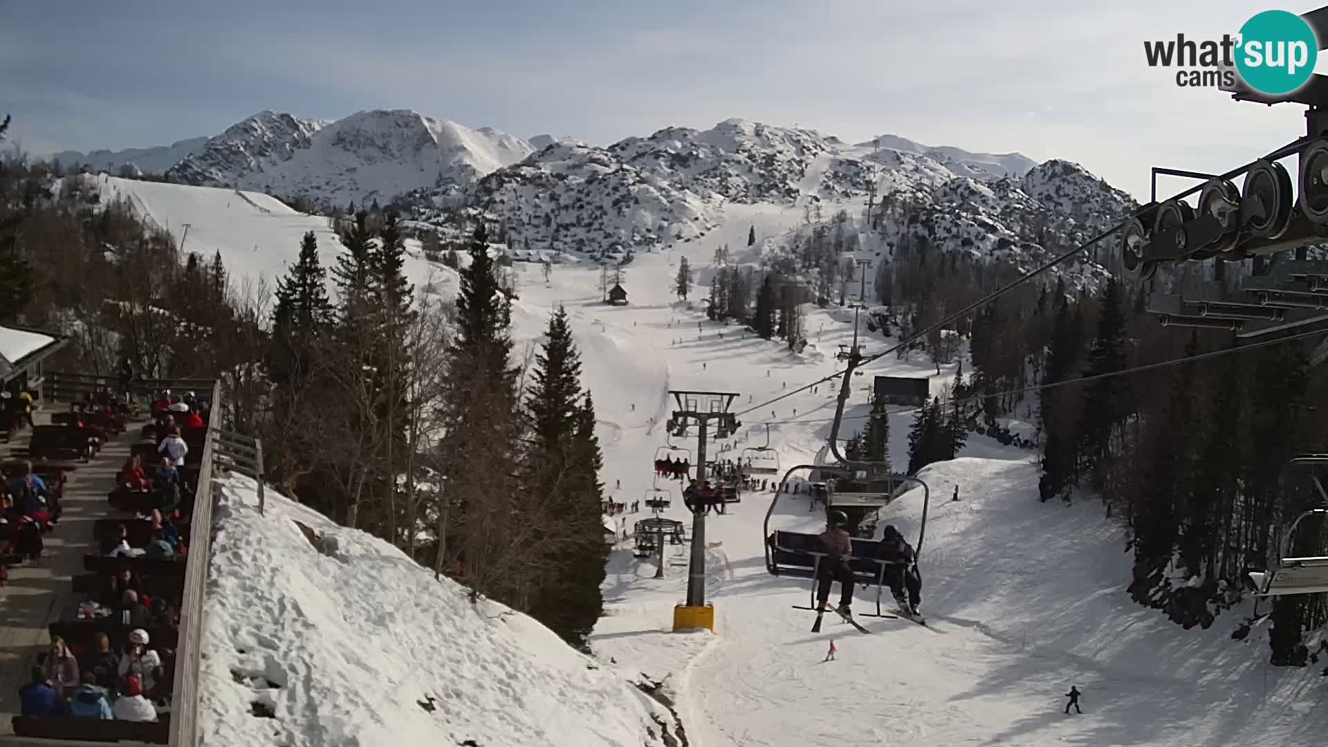 Vogel Live webcam – Brunarica – Slovénie