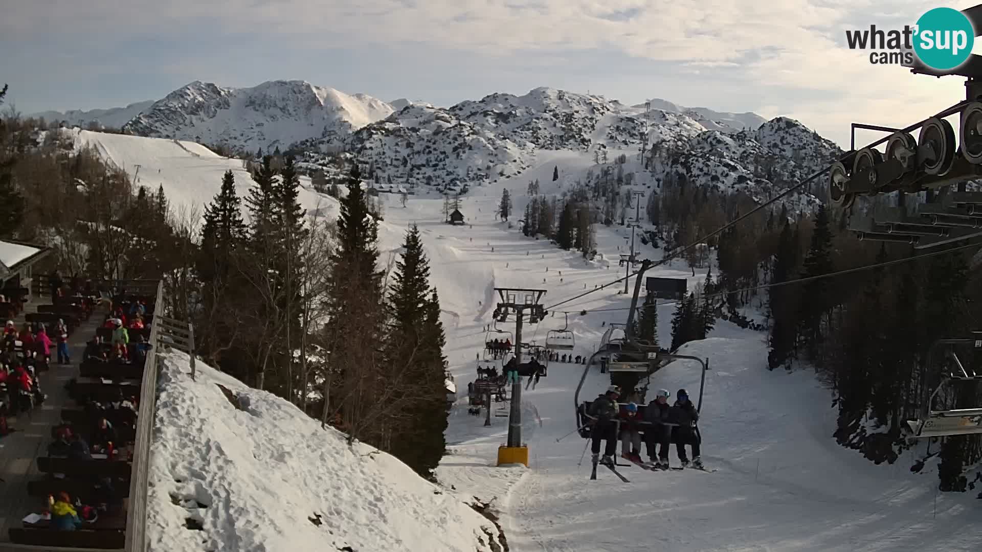 Vogel web kamera – Brunarica – Slovenija