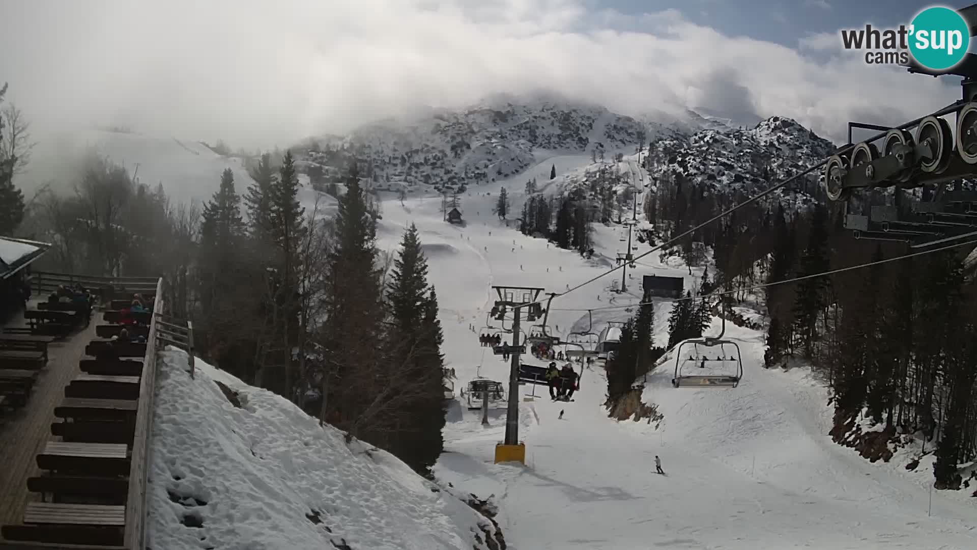 Vogel Live webcam – Brunarica – Slovénie