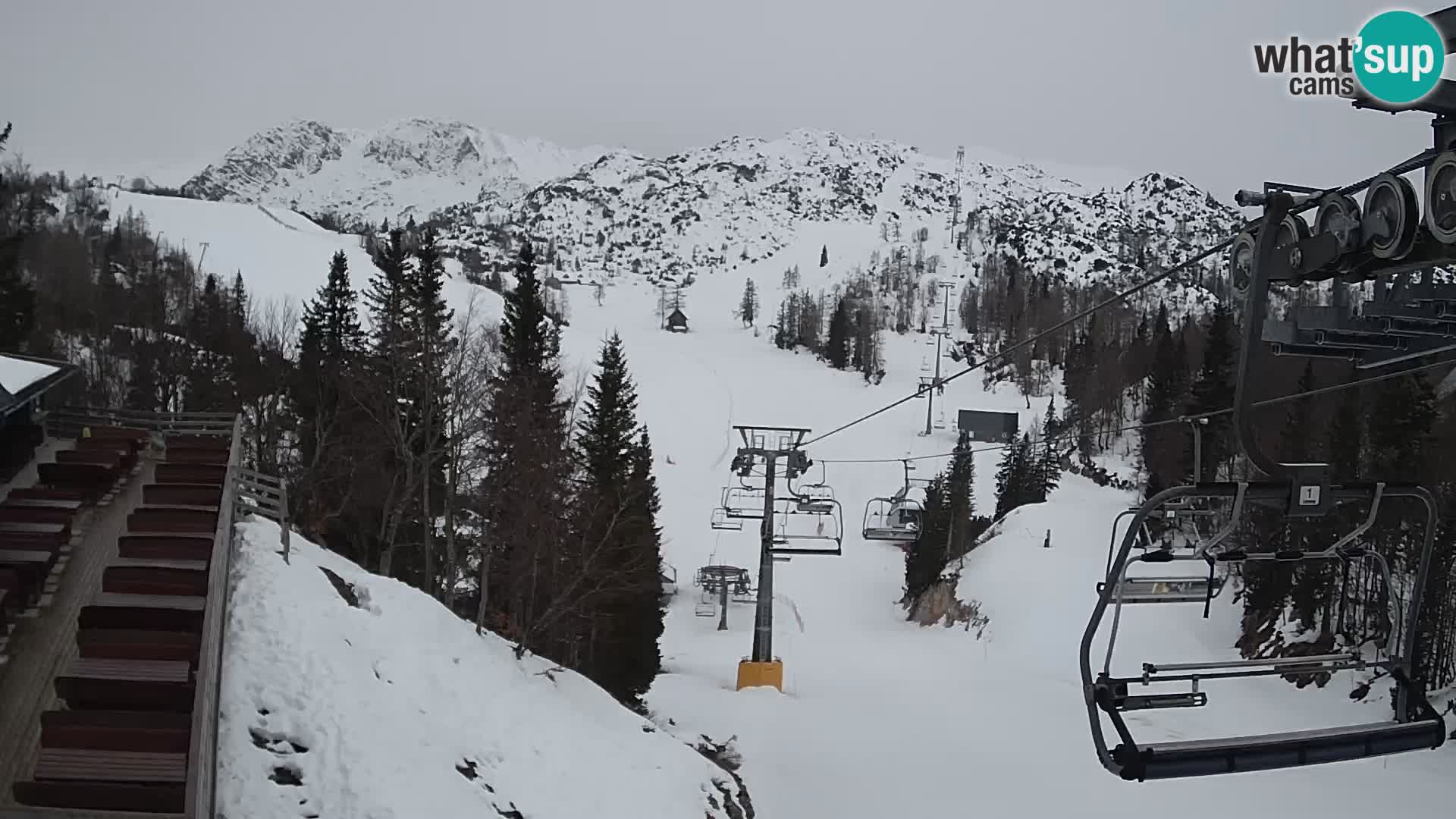 Vogel web kamera – Brunarica – Slovenija