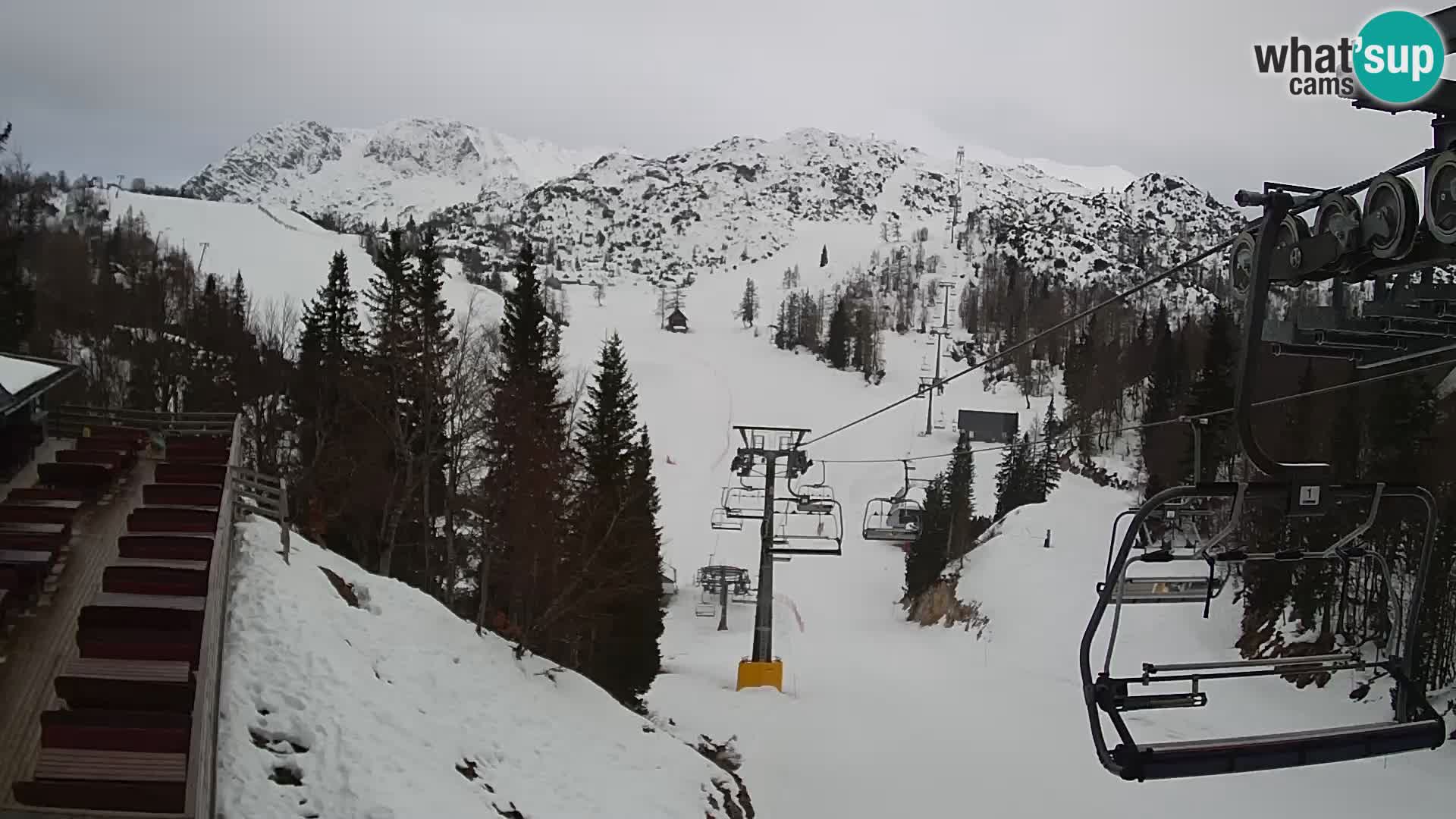 Vogel spletna kamera – Brunarica – Bohinj