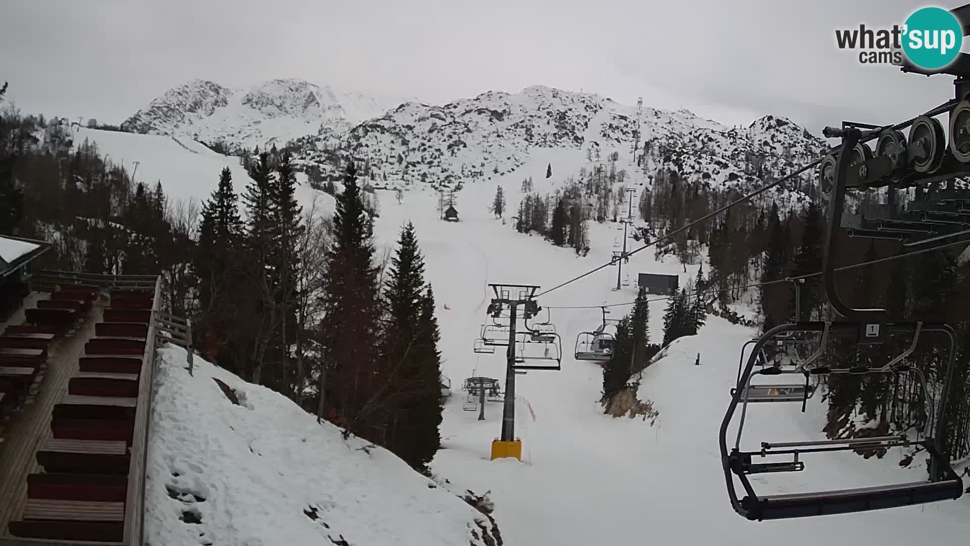 Vogel spletna kamera – Brunarica – Bohinj