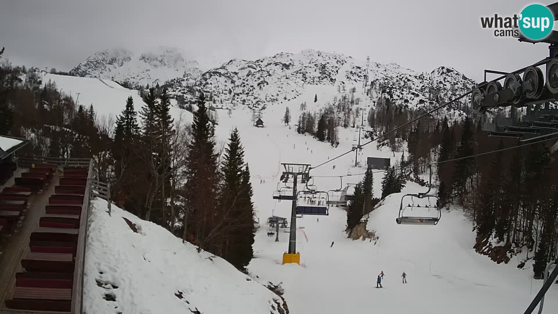 Vogel spletna kamera – Brunarica – Bohinj