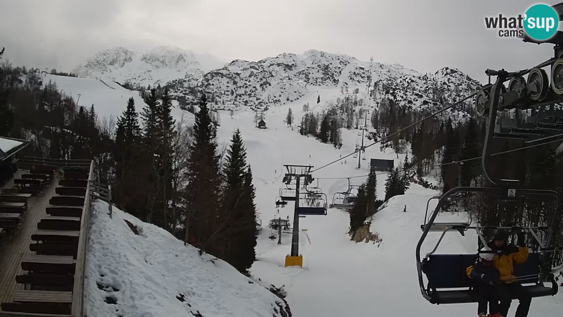 Vogel spletna kamera – Brunarica – Bohinj