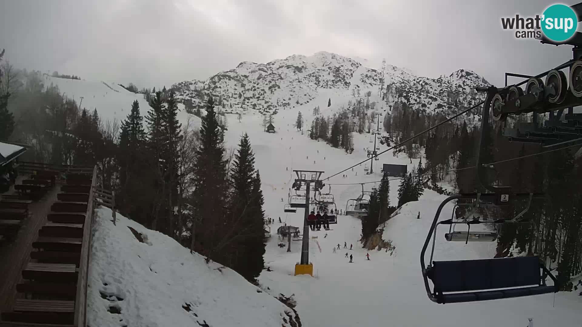 Vogel Live webcam – Brunarica – Slovénie