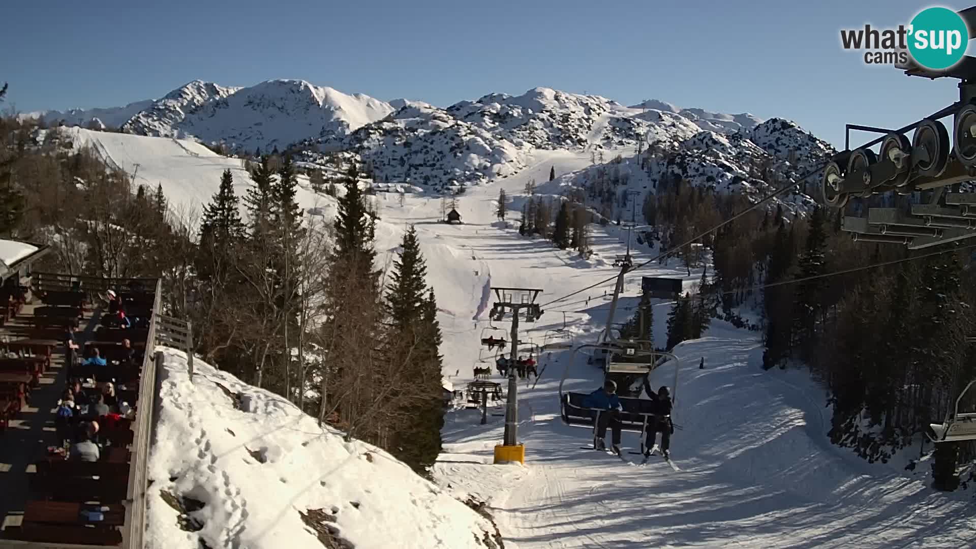 Vogel Live webcam – Brunarica – Slovénie