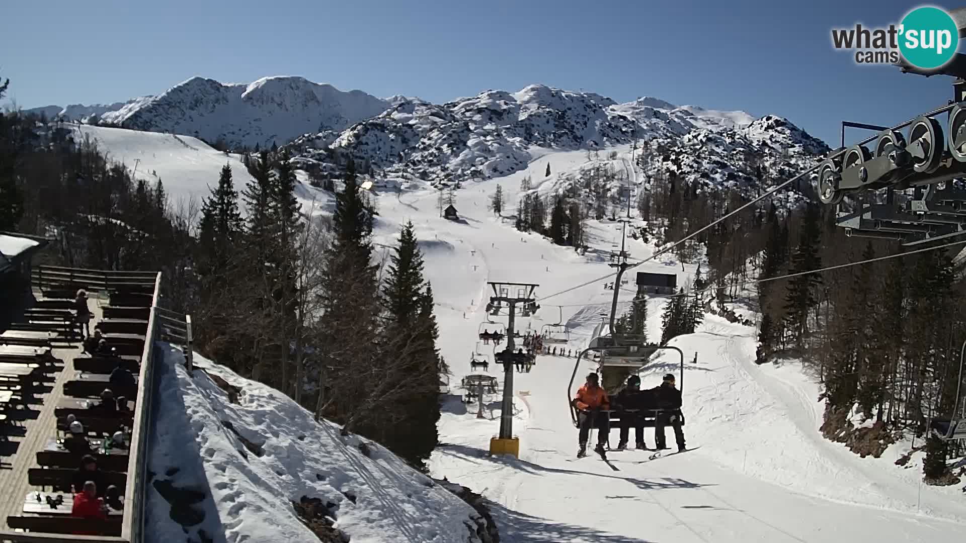 Vogel Live webcam – Brunarica – Slovénie