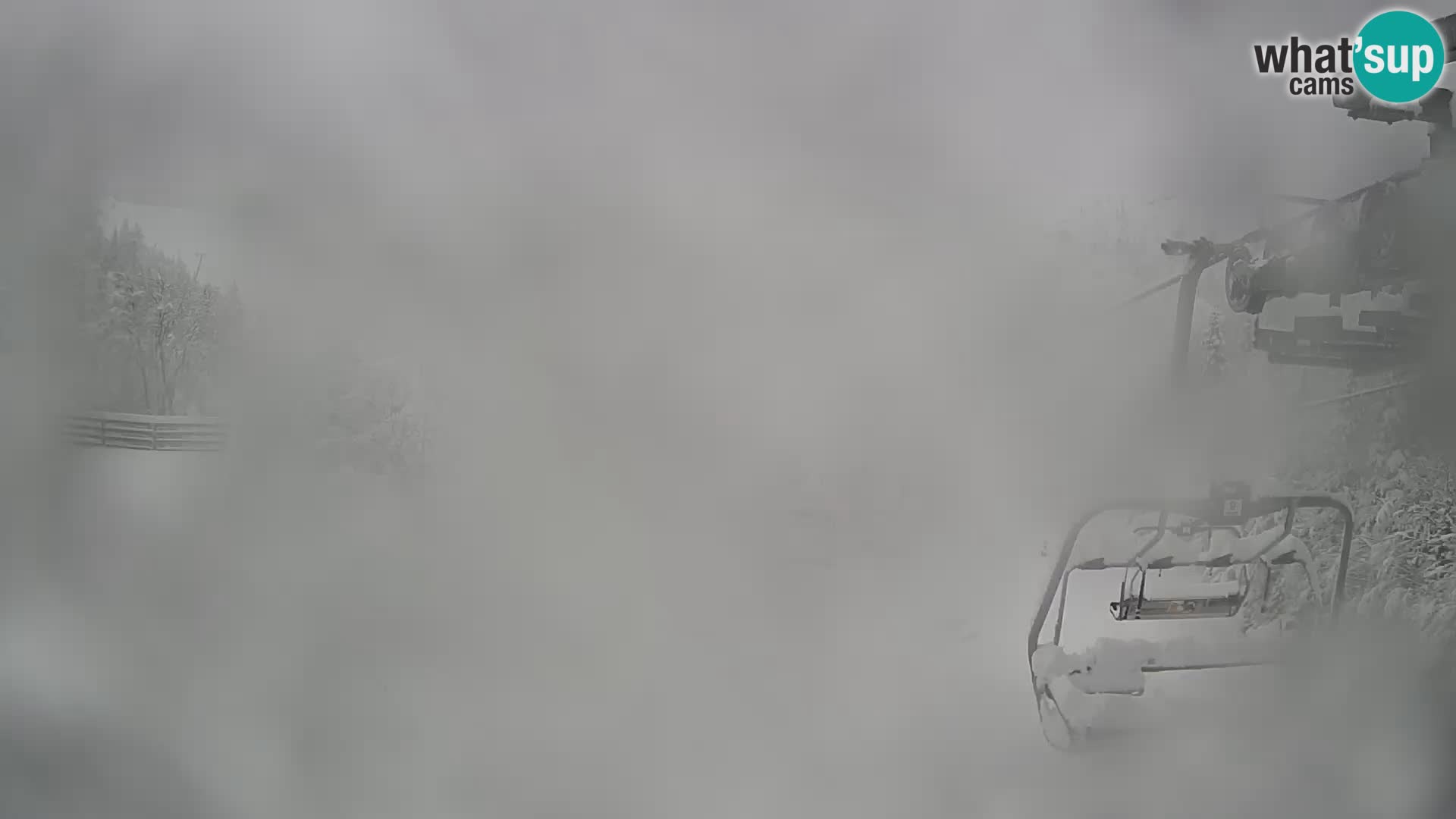 Vogel web kamera – Brunarica – Slovenija