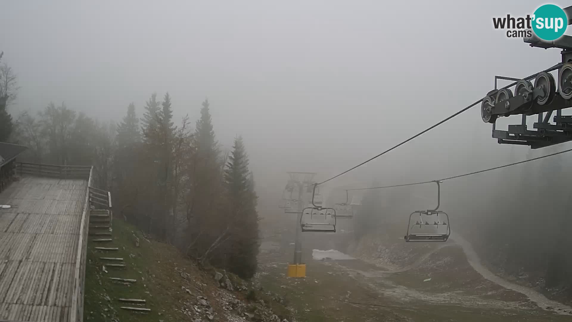Vogel web kamera – Brunarica – Slovenija