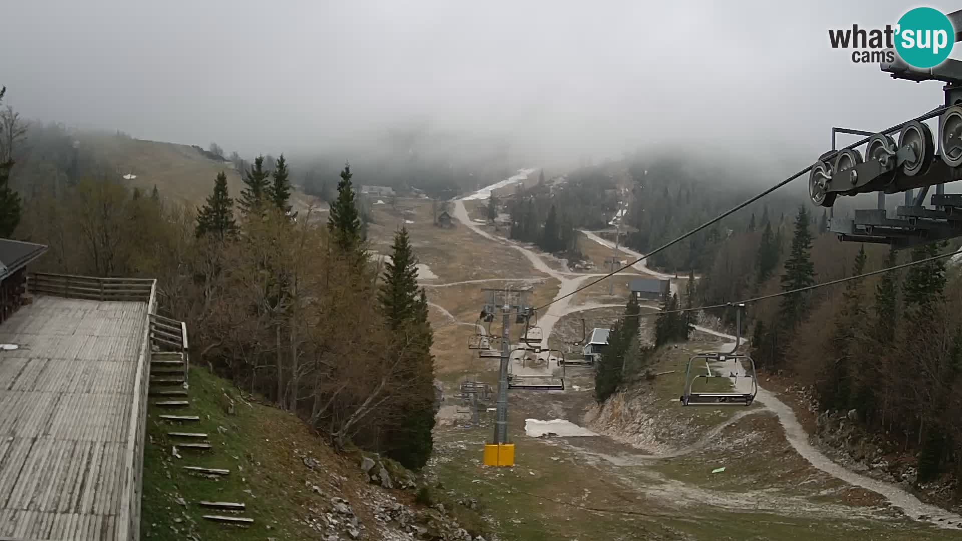 Vogel webcam kamera – Brunarica – Slowenien