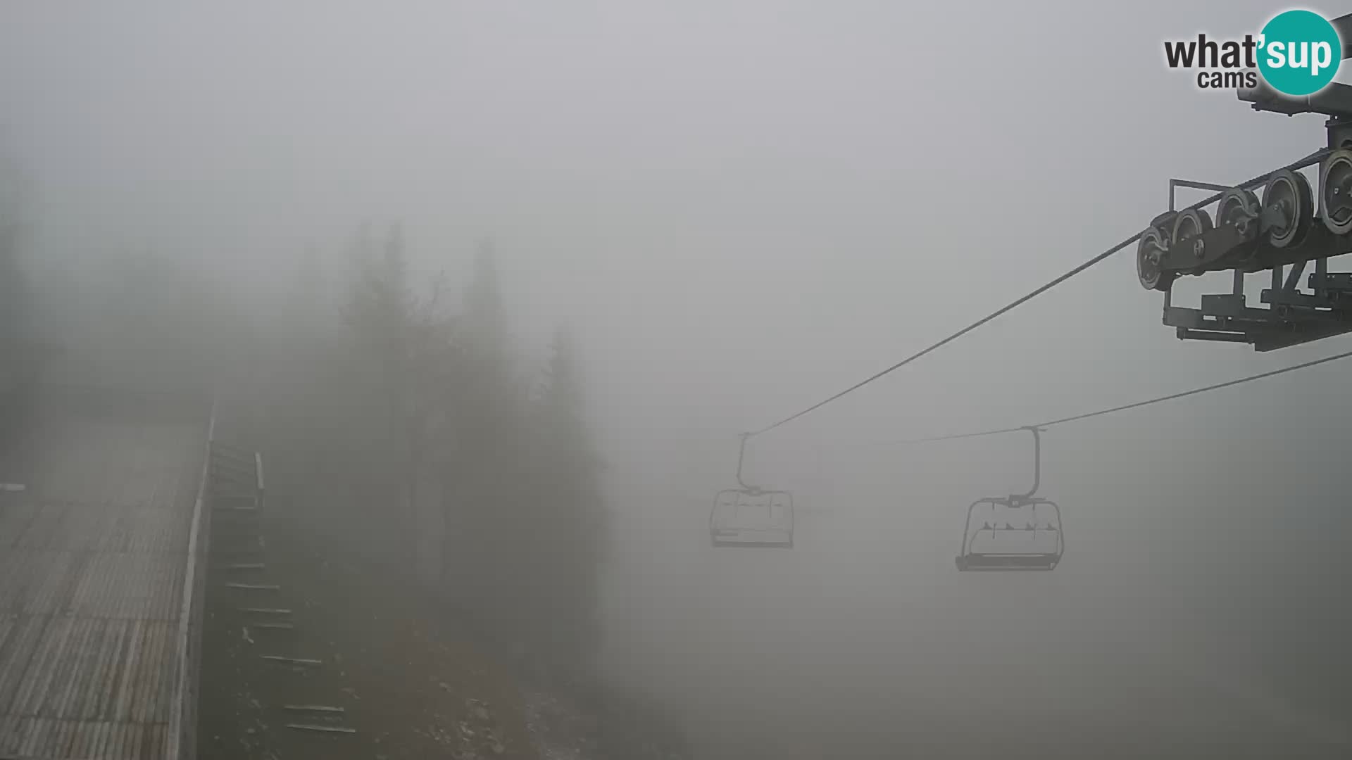 Vogel web kamera – Brunarica – Slovenija