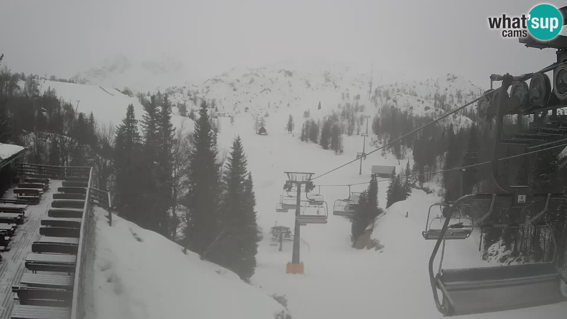 Vogel Live webcam – Brunarica – Slovénie