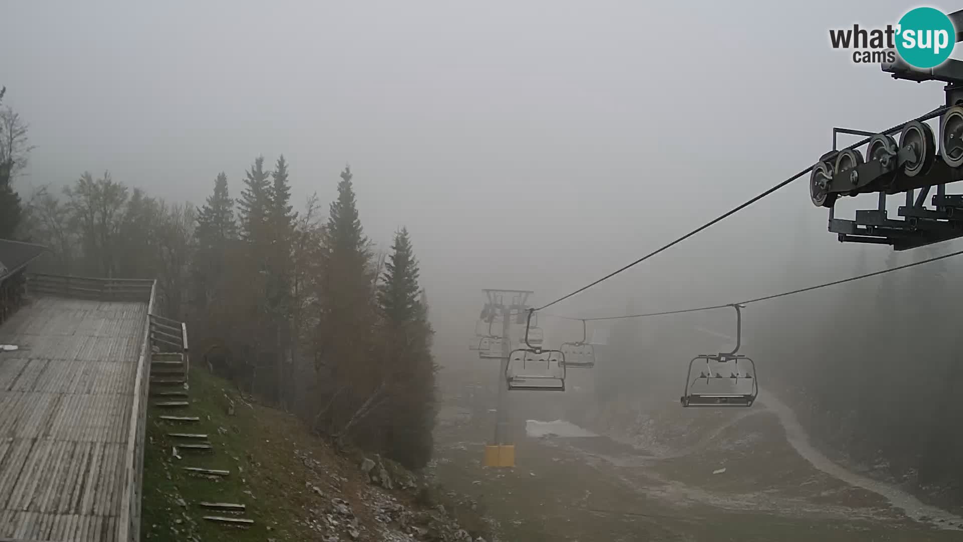 Vogel webcam kamera – Brunarica – Slowenien