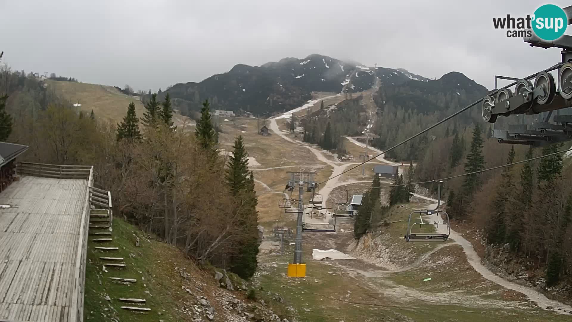 Vogel webcam kamera – Brunarica – Slowenien