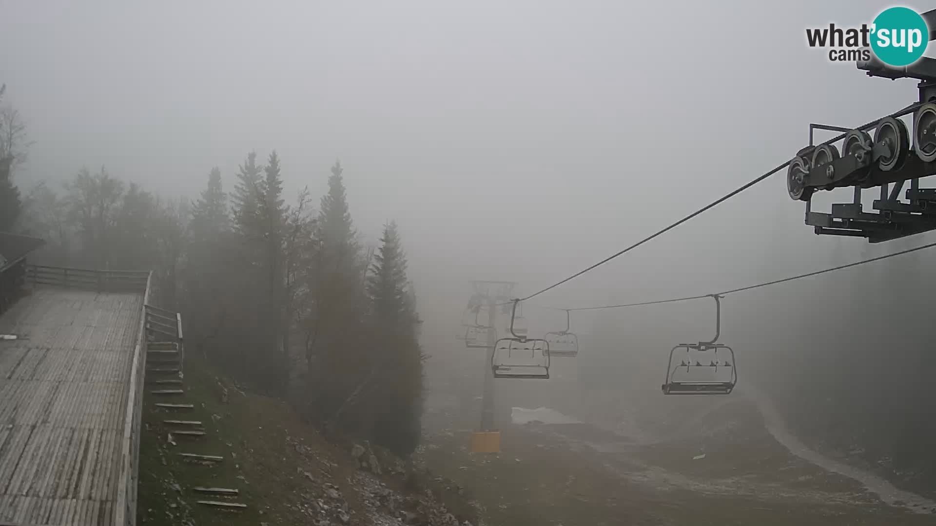 Vogel webcam kamera – Brunarica – Slowenien