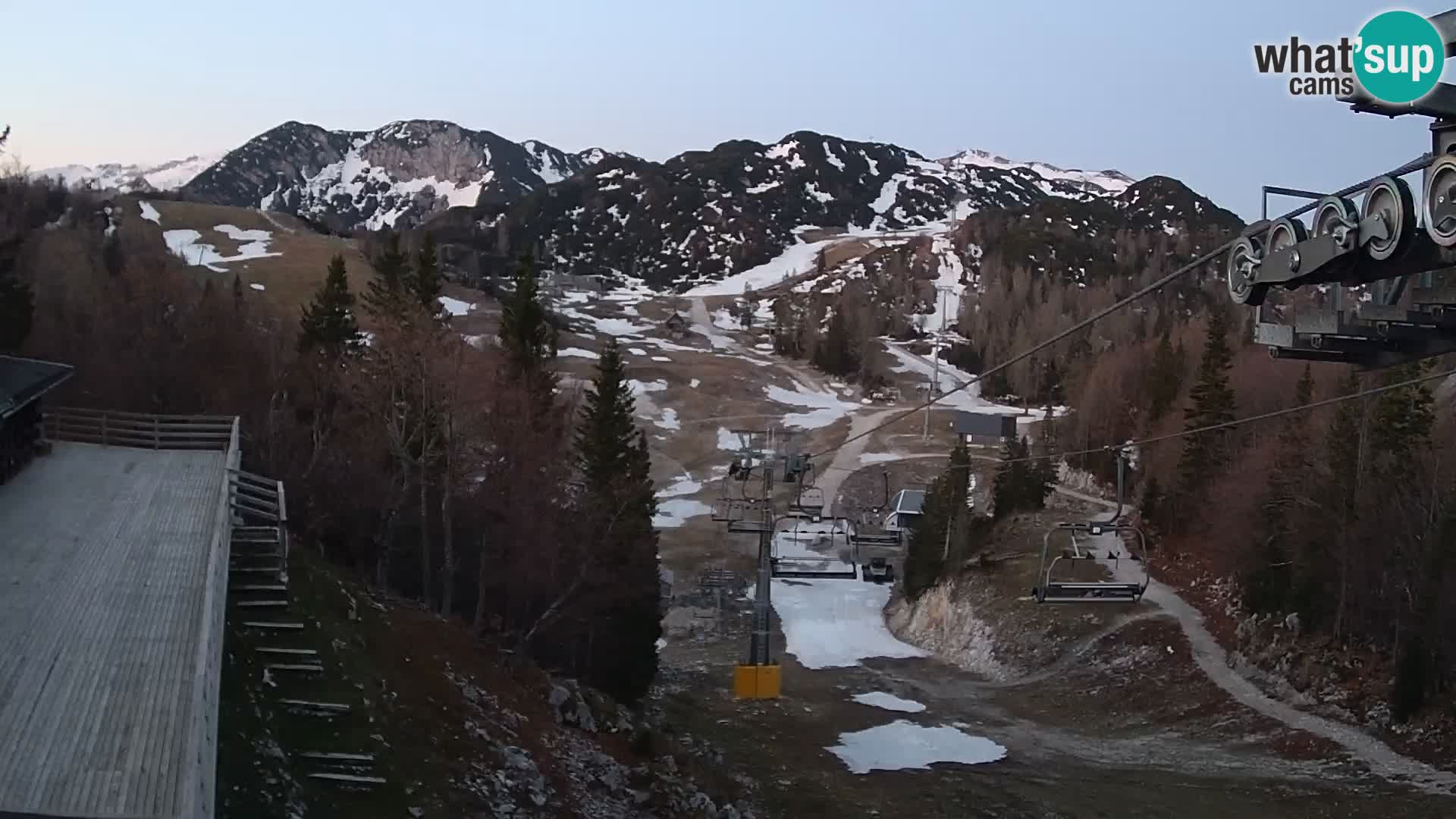 Vogel webcam kamera – Brunarica – Slowenien
