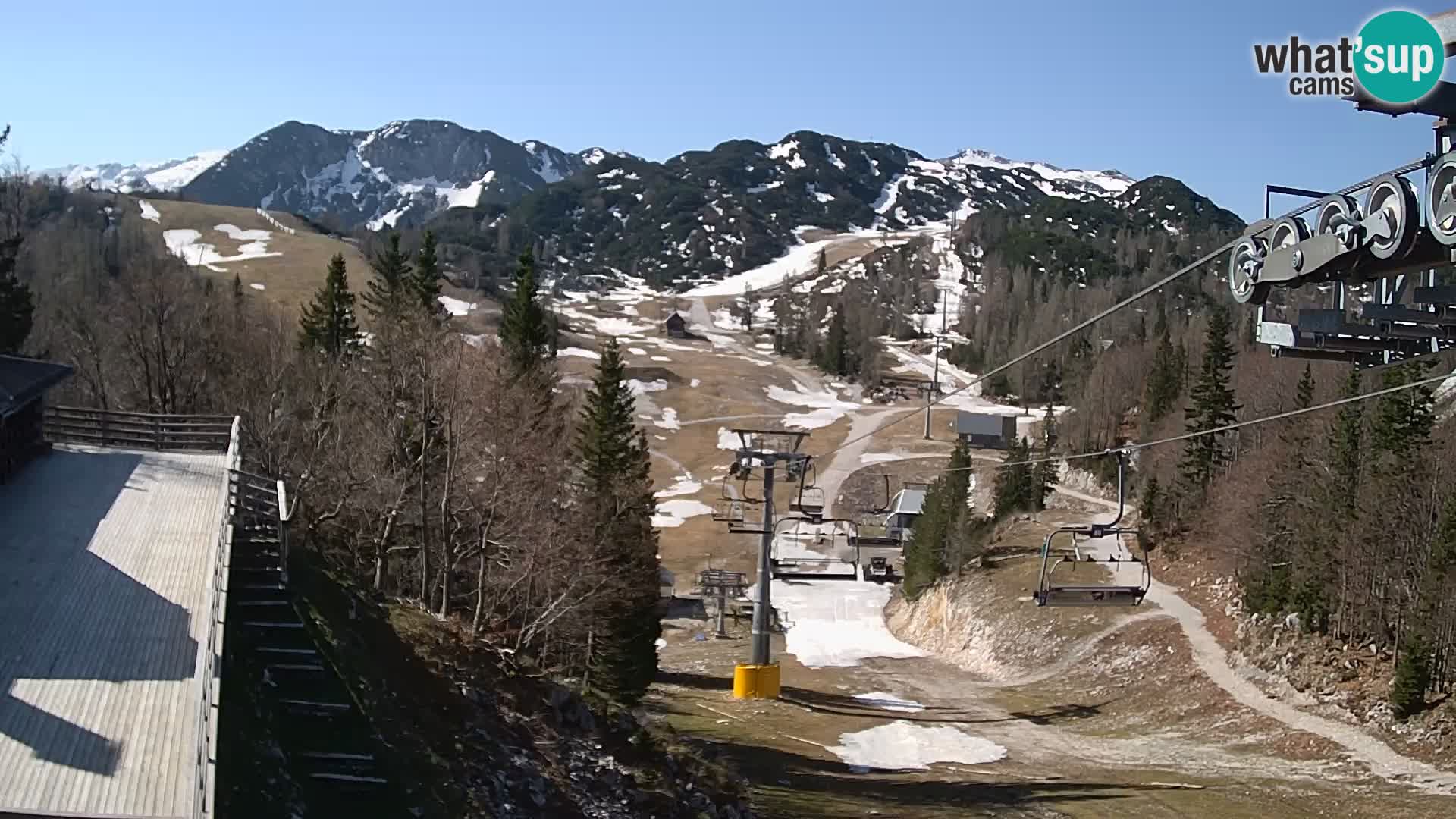 Vogel Live webcam – Brunarica – Slovénie