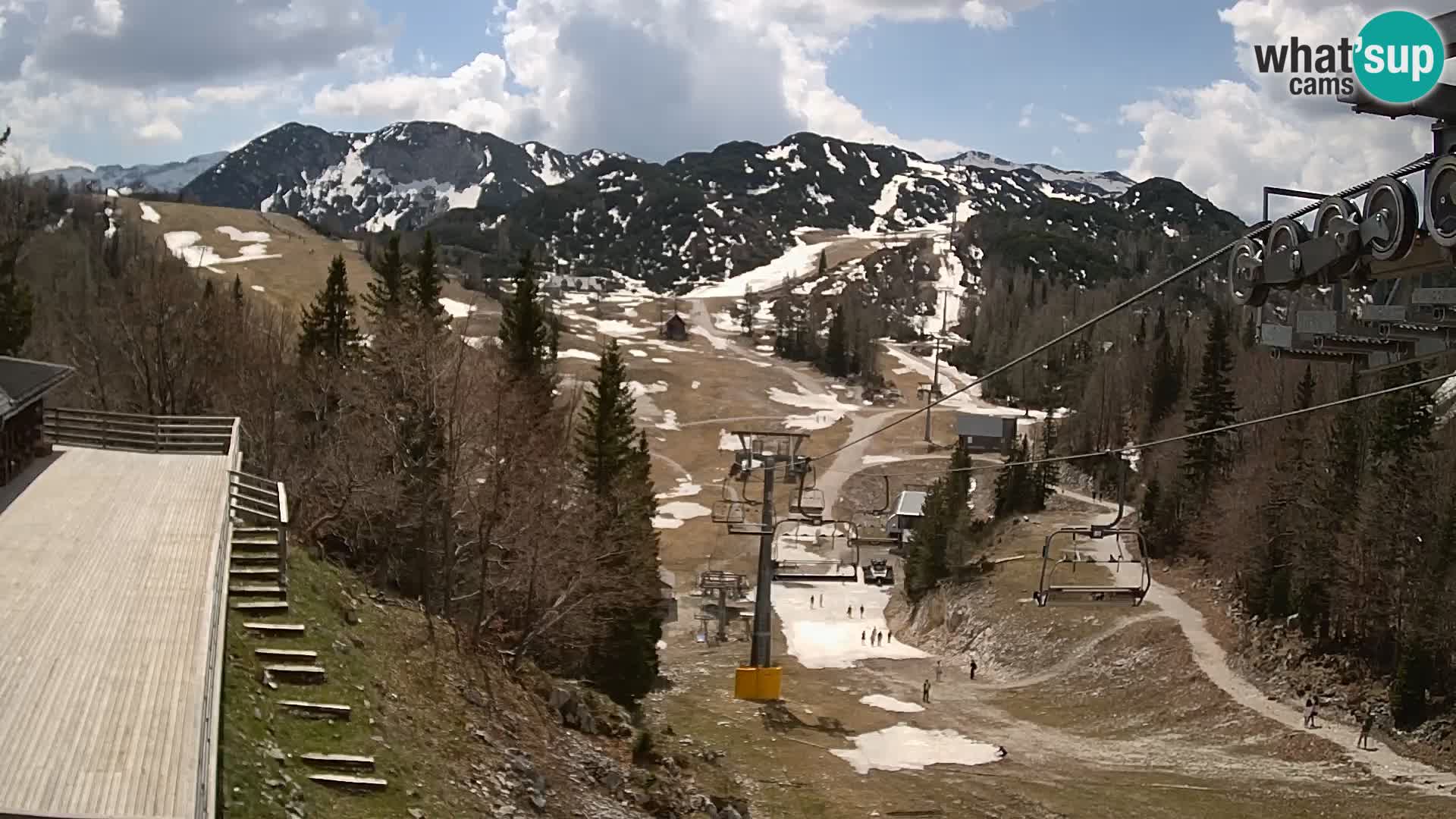 Vogel webcam kamera – Brunarica – Slowenien