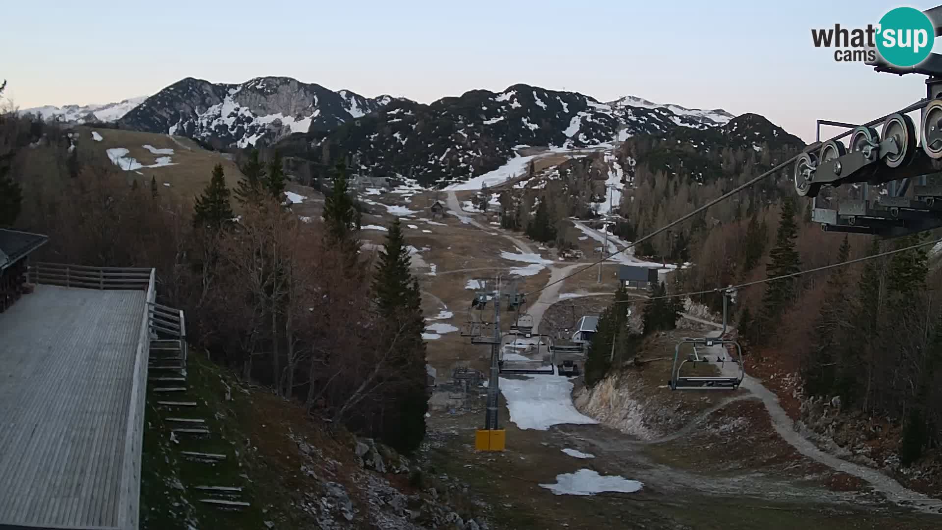 Vogel webcam kamera – Brunarica – Slowenien
