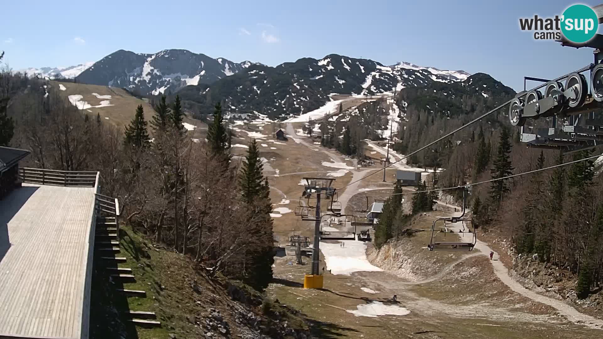 Vogel Live webcam – Brunarica – Slovénie