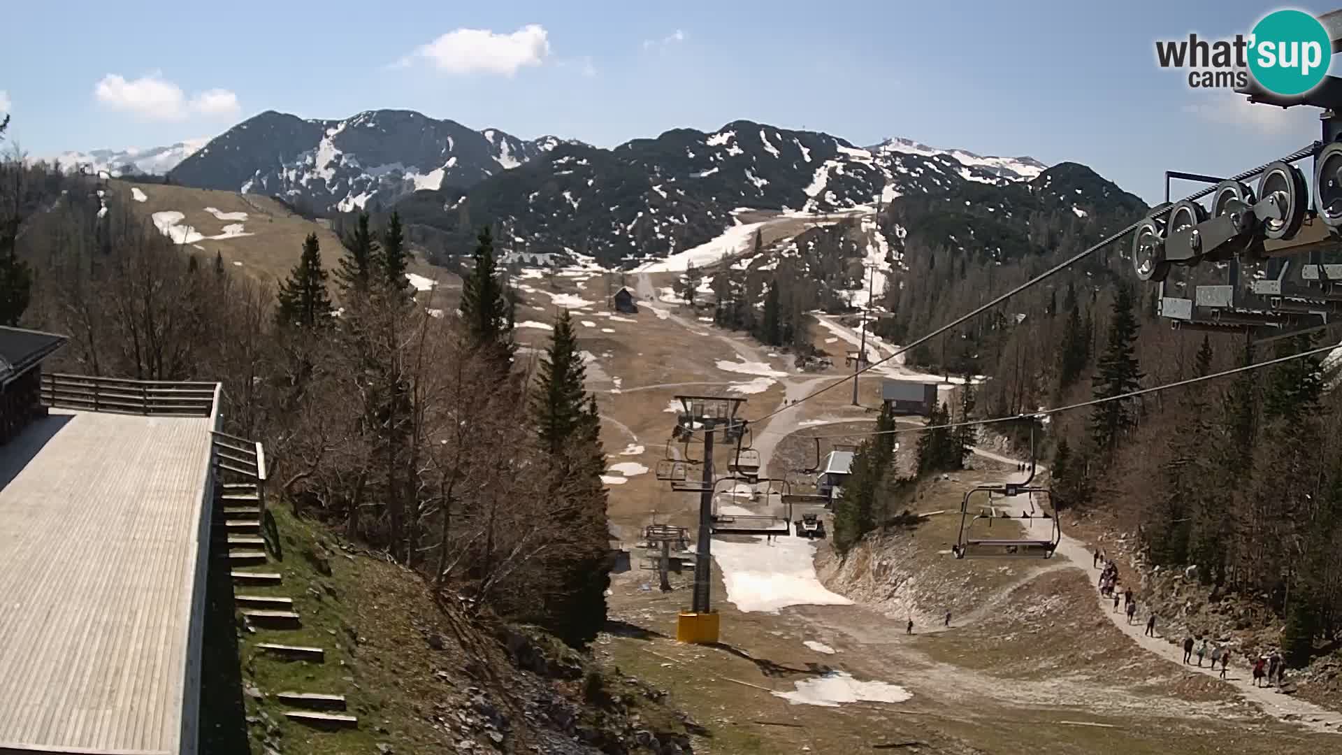 Vogel webcam kamera – Brunarica – Slowenien