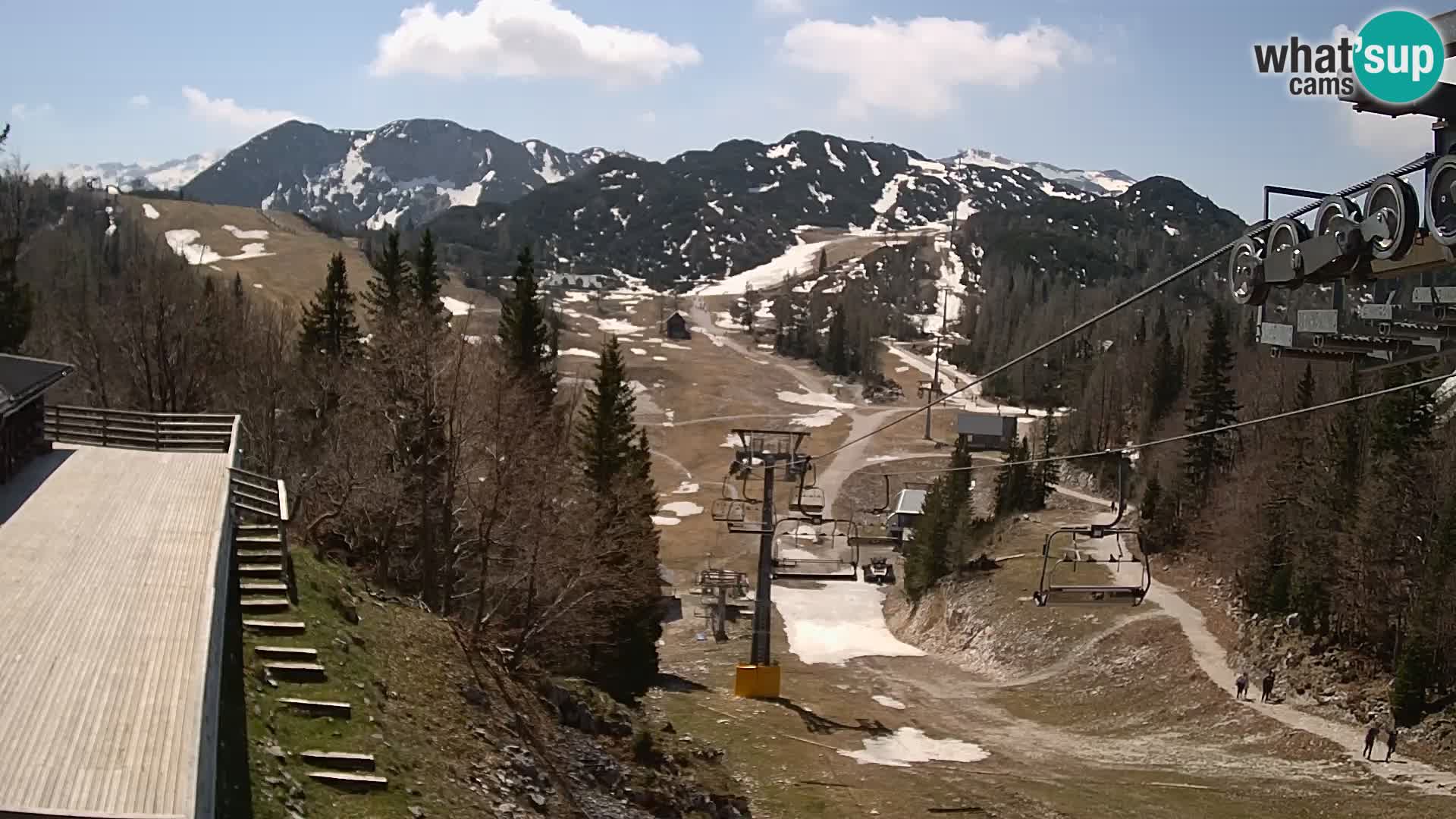 Vogel web kamera – Brunarica – Slovenija