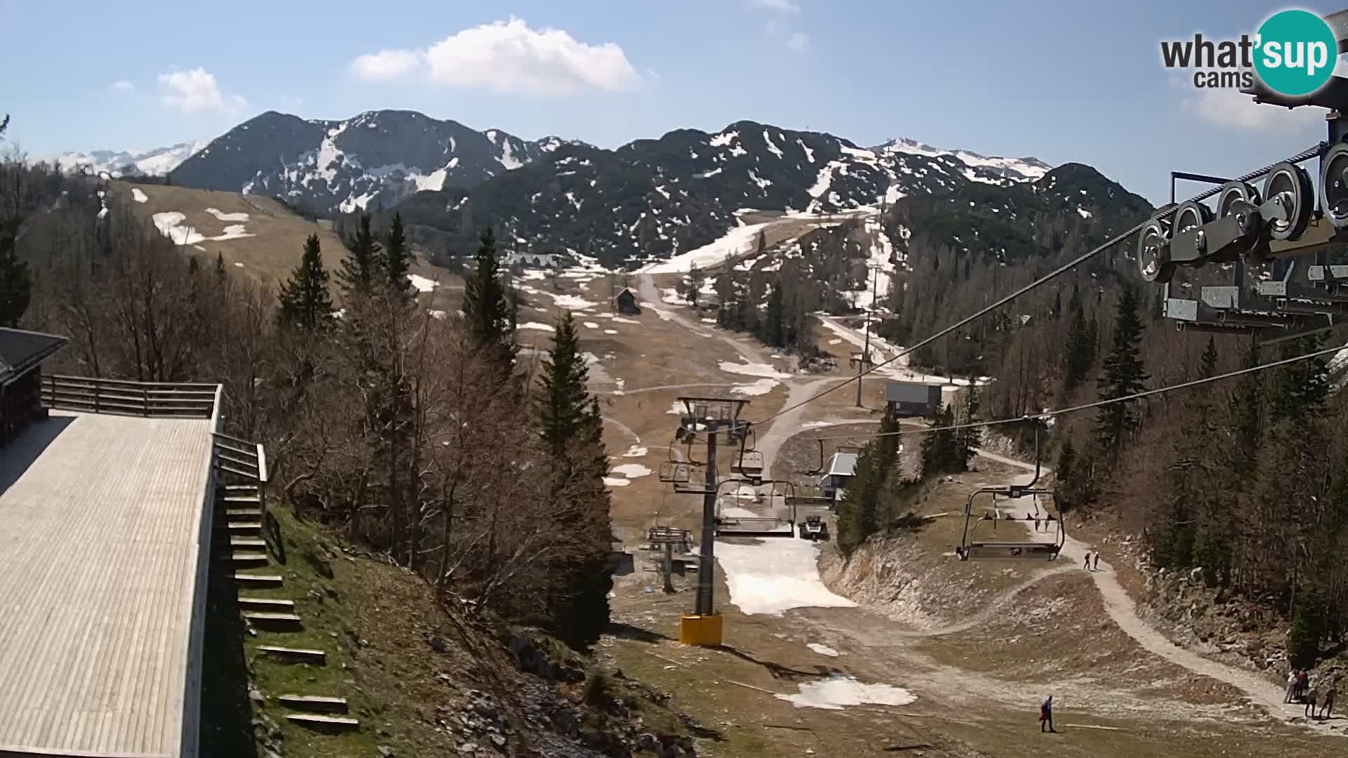 Vogel webcam kamera – Brunarica – Slowenien