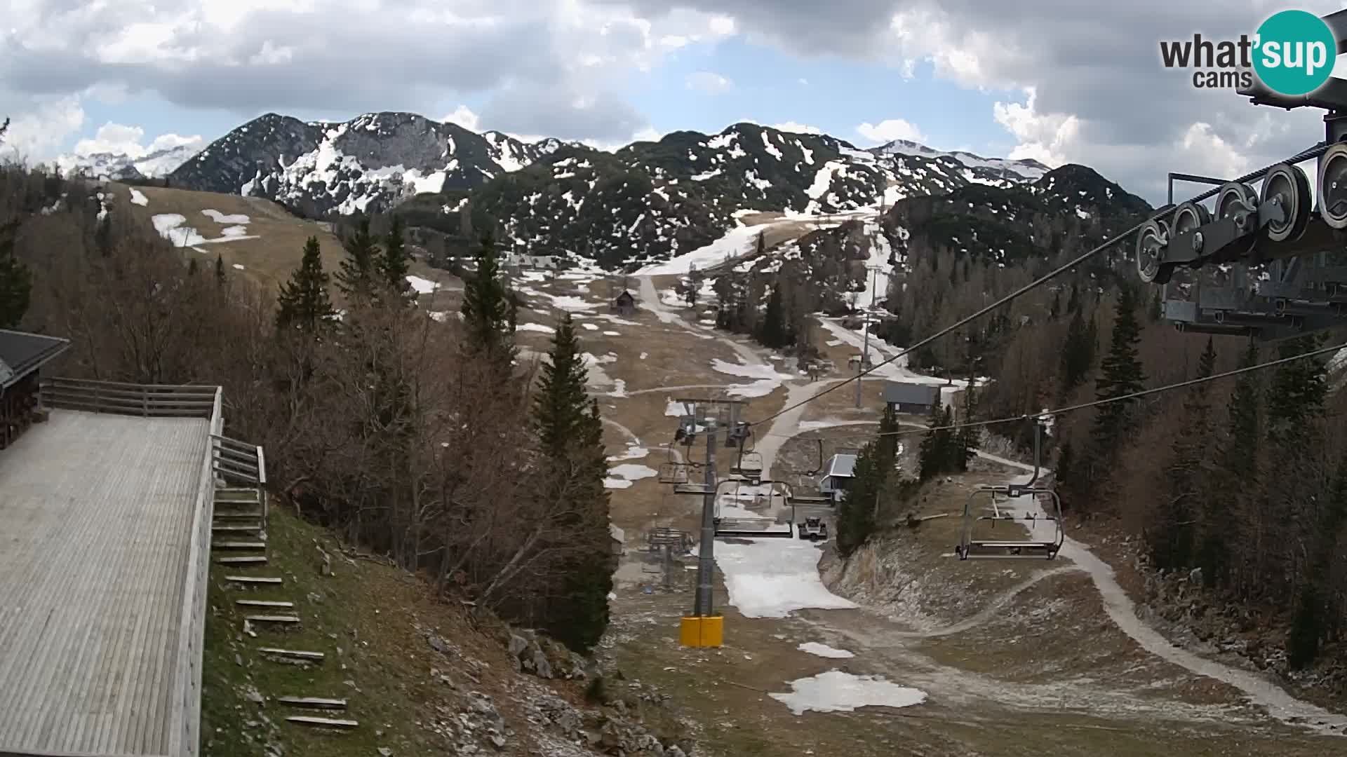 Vogel webcam kamera – Brunarica – Slowenien