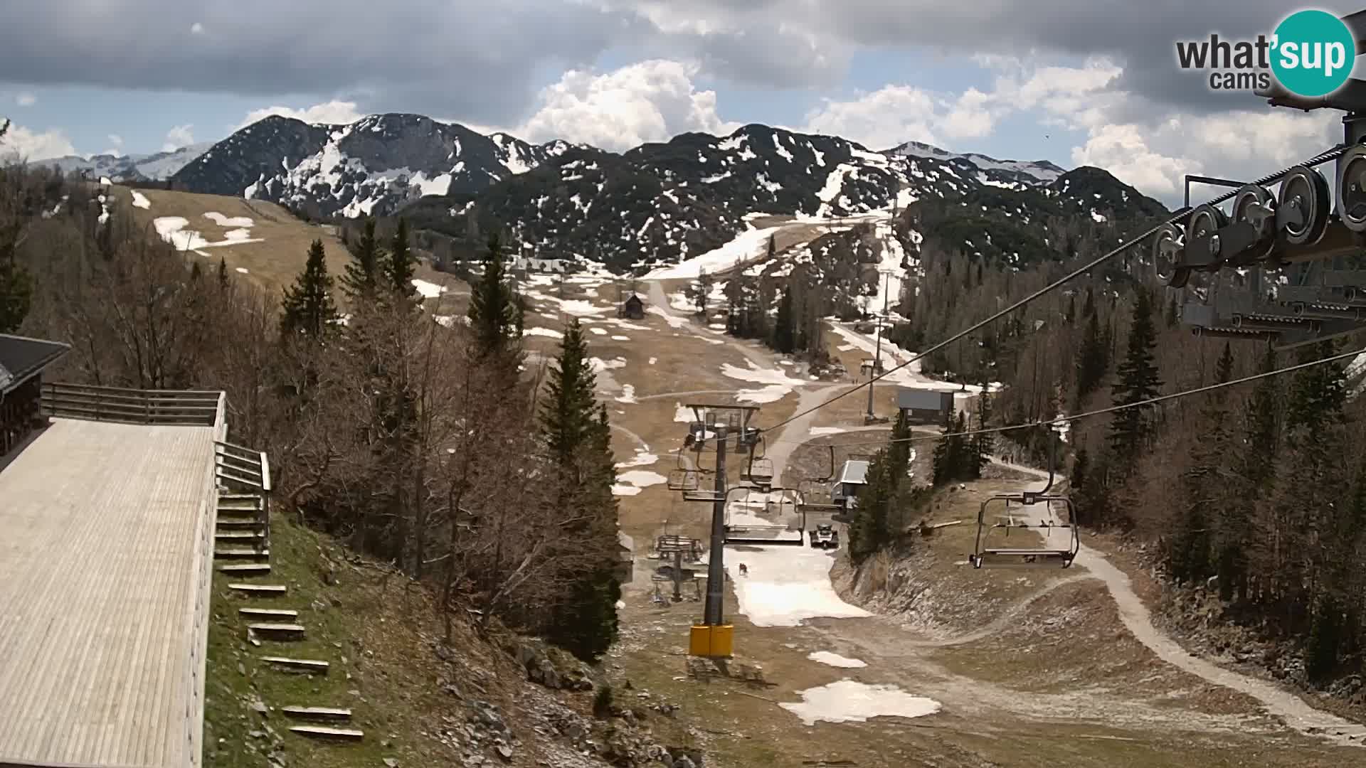 Vogel web kamera – Brunarica – Slovenija