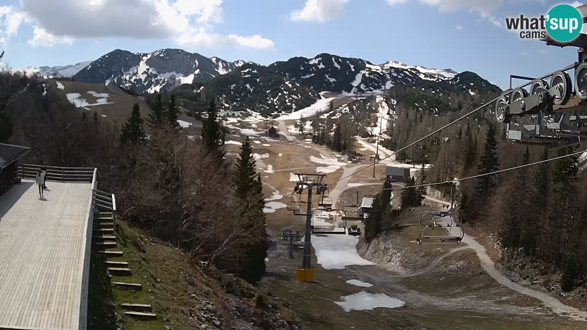 Vogel web kamera – Brunarica – Slovenija