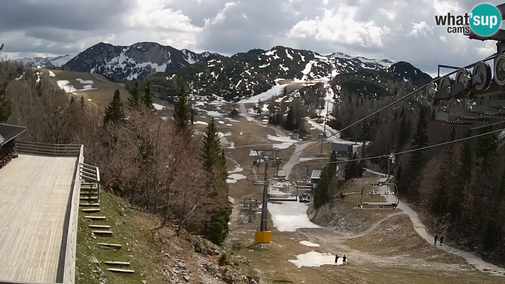 Vogel web kamera – Brunarica – Slovenija