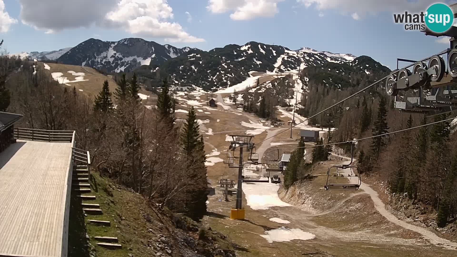 Vogel Live webcam – Brunarica – Slovenia
