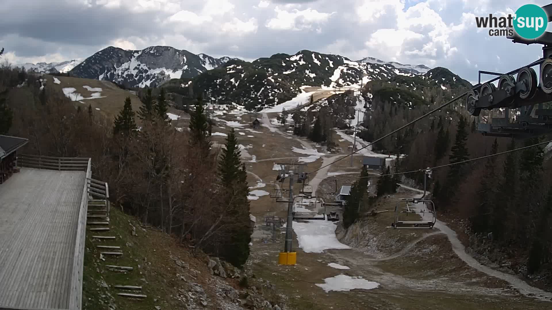 Vogel webcam kamera – Brunarica – Slowenien