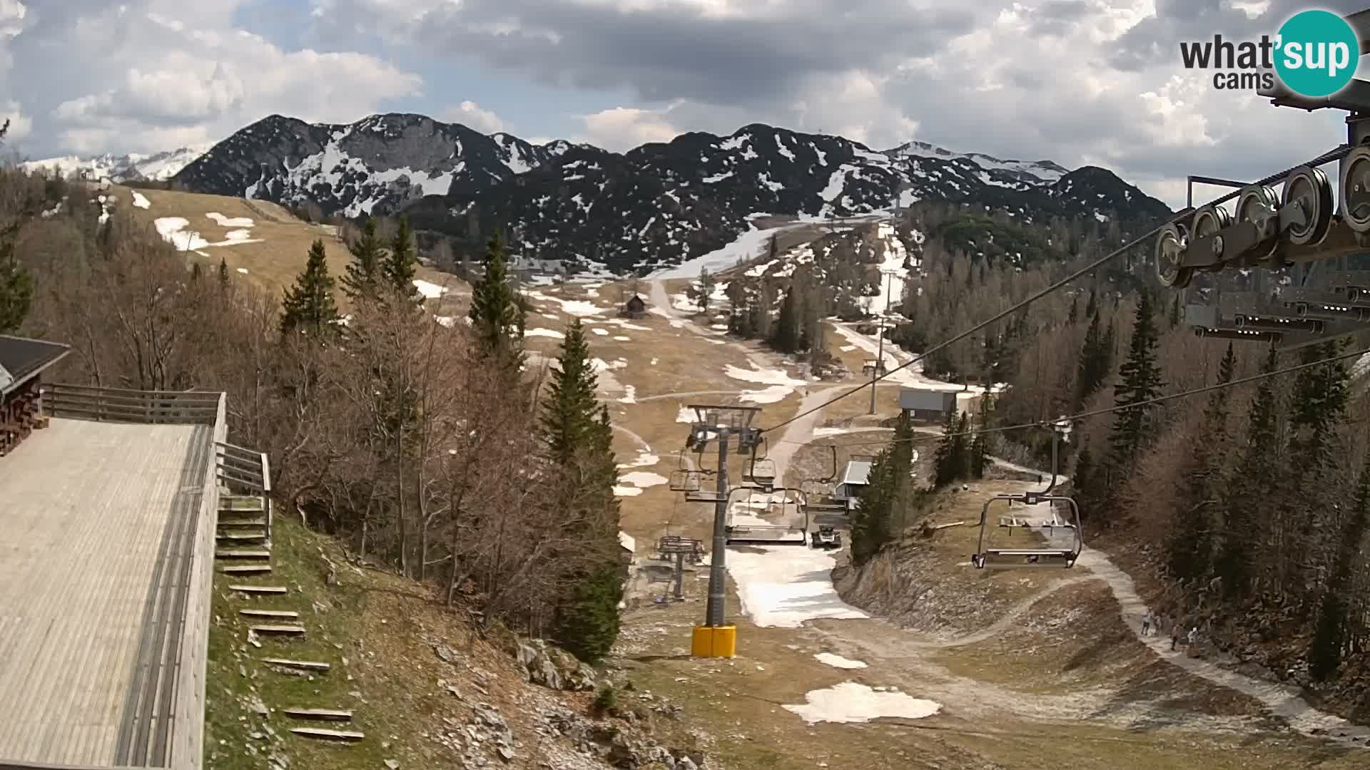 Vogel Live webcam – Brunarica – Slovénie