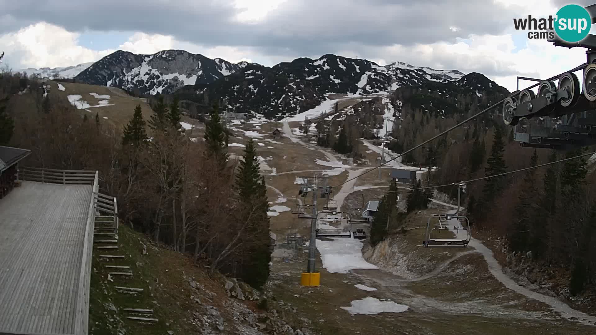 Vogel web kamera – Brunarica – Slovenija