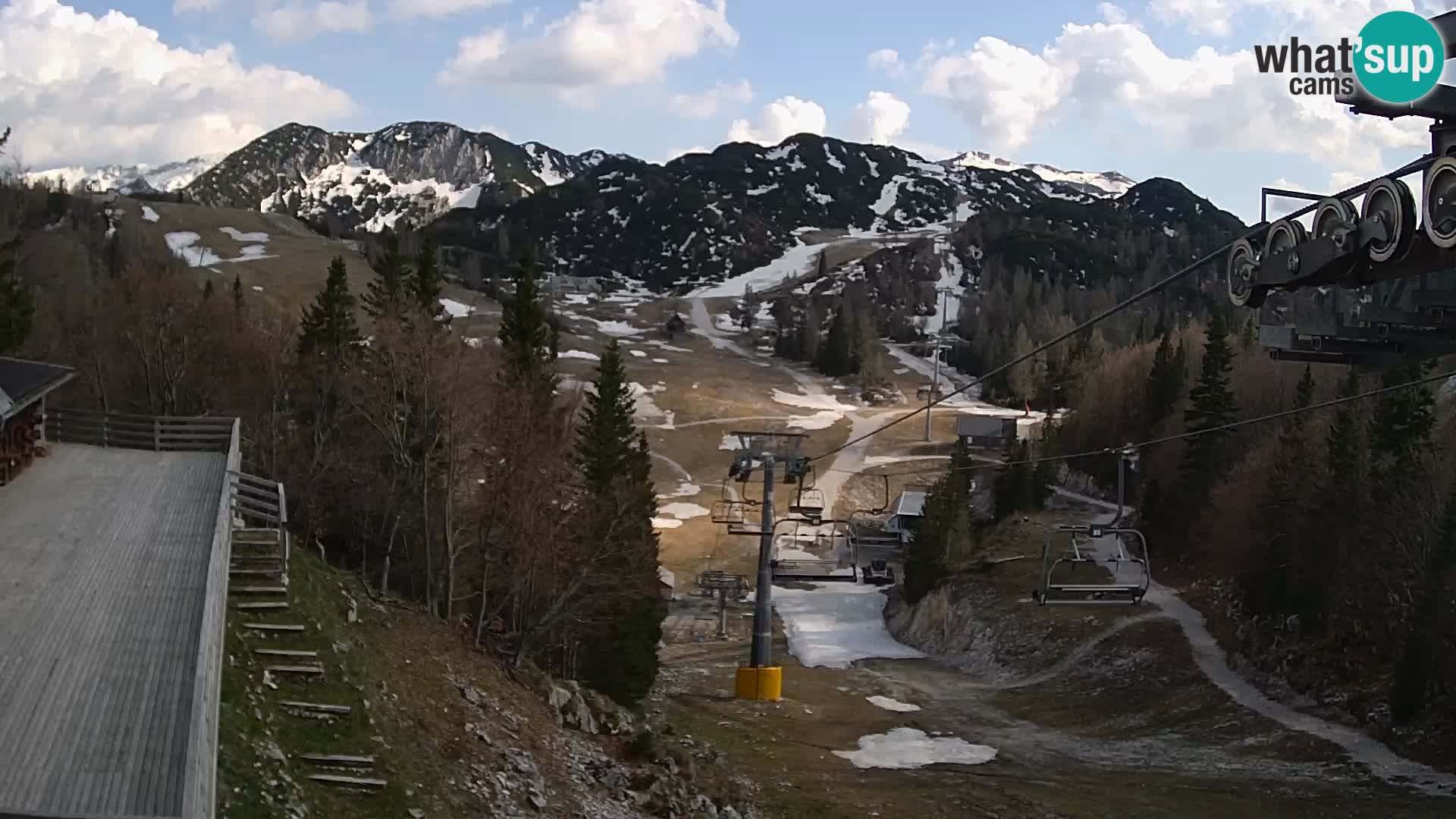 Vogel web kamera – Brunarica – Slovenija