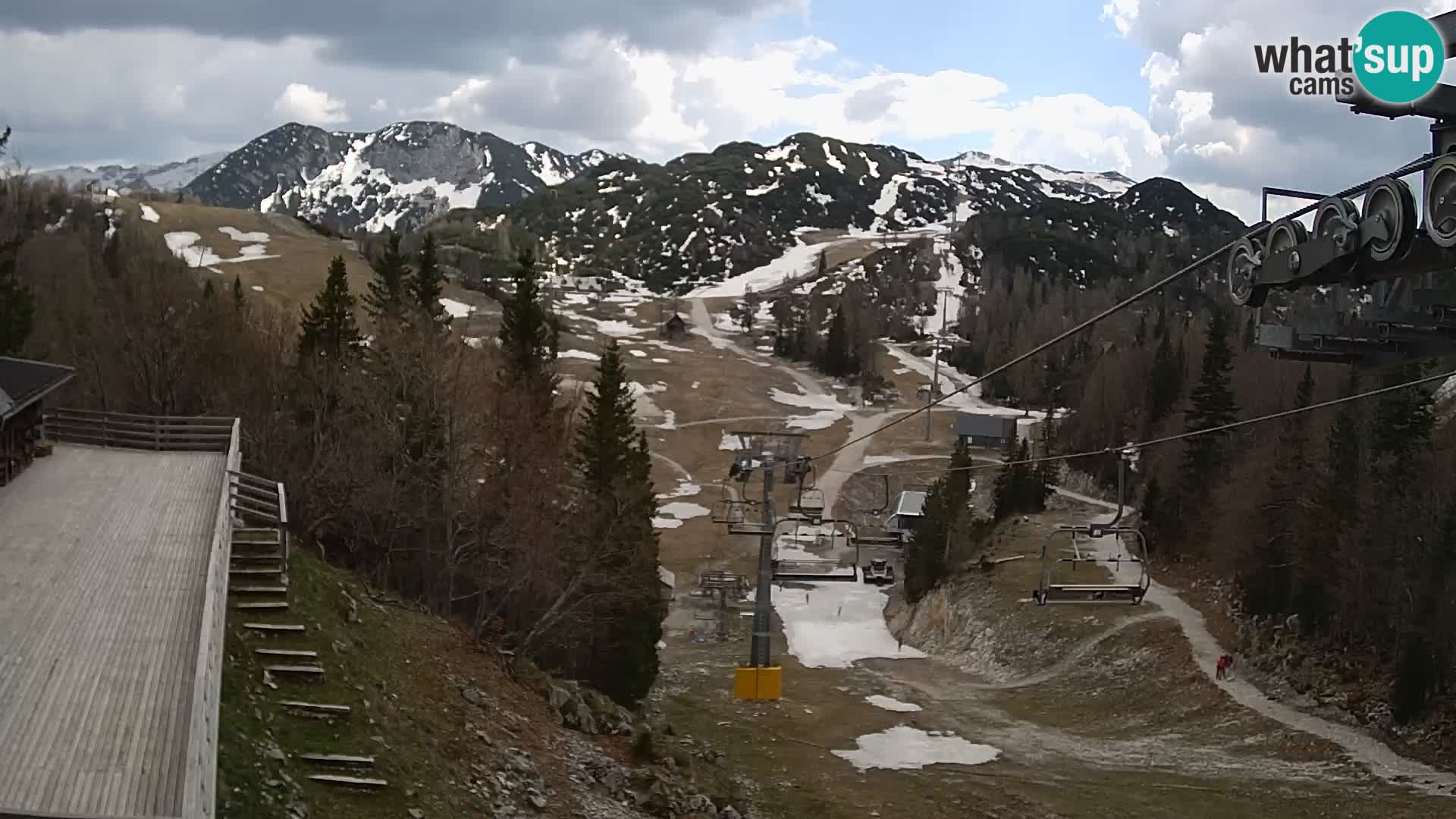 Vogel web kamera – Brunarica – Slovenija