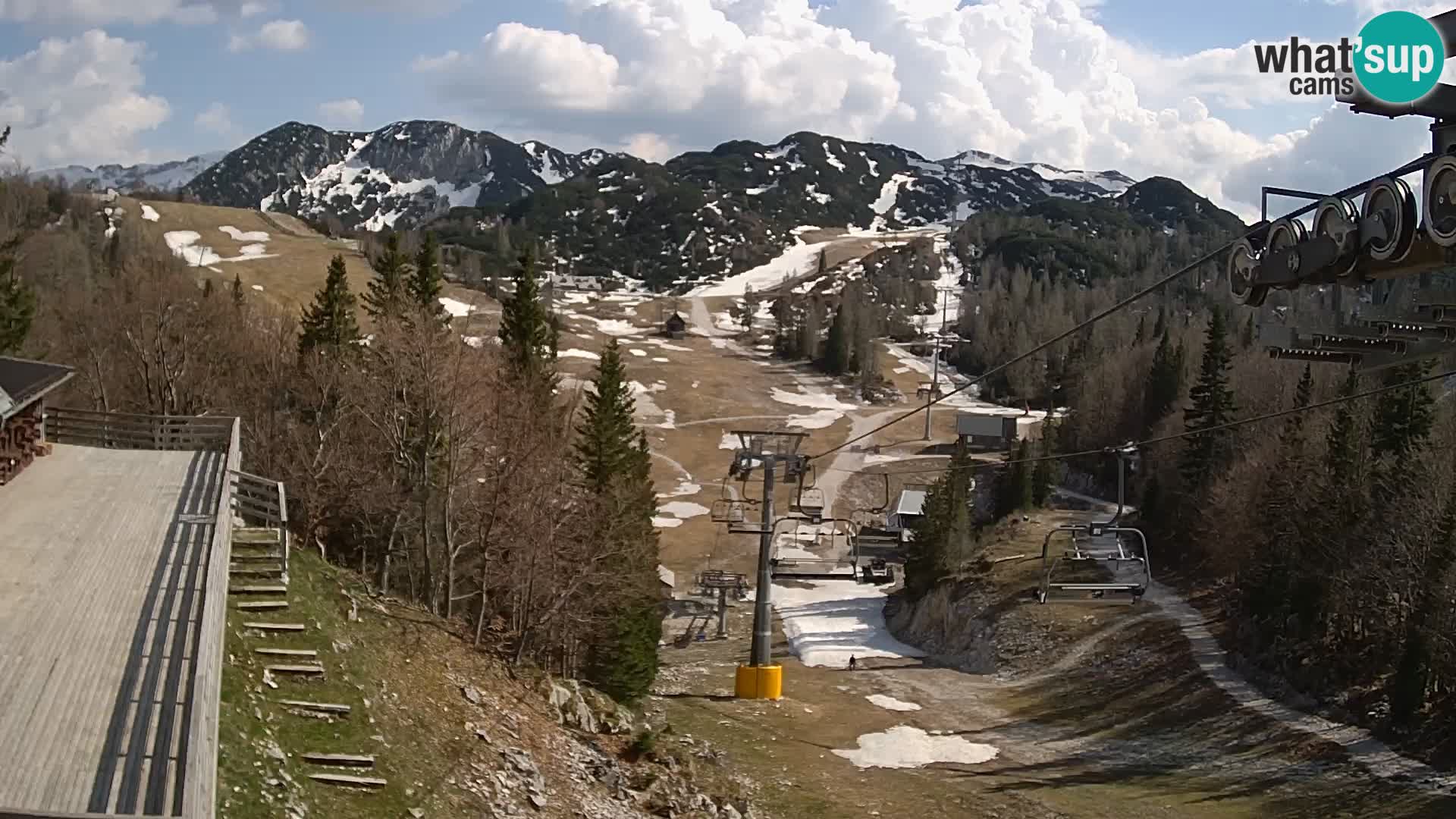 Vogel web kamera – Brunarica – Slovenija