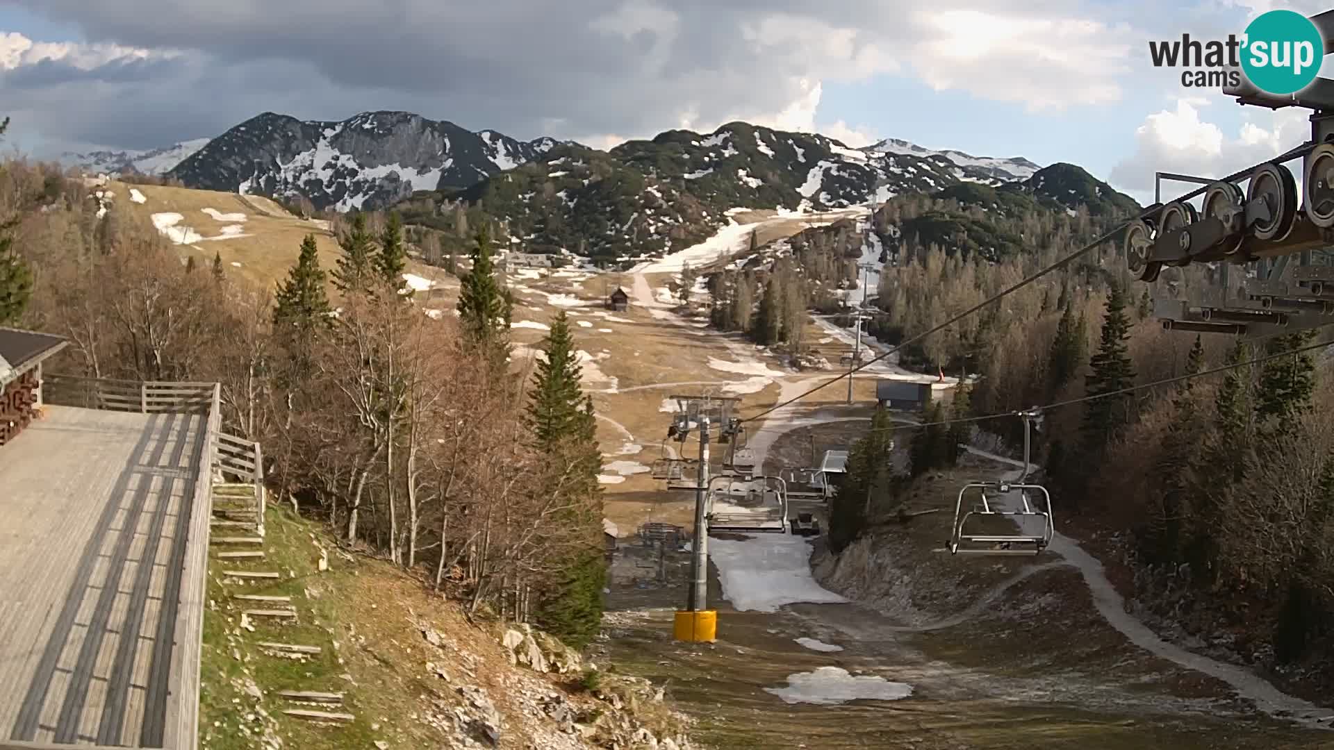 Vogel web kamera – Brunarica – Slovenija