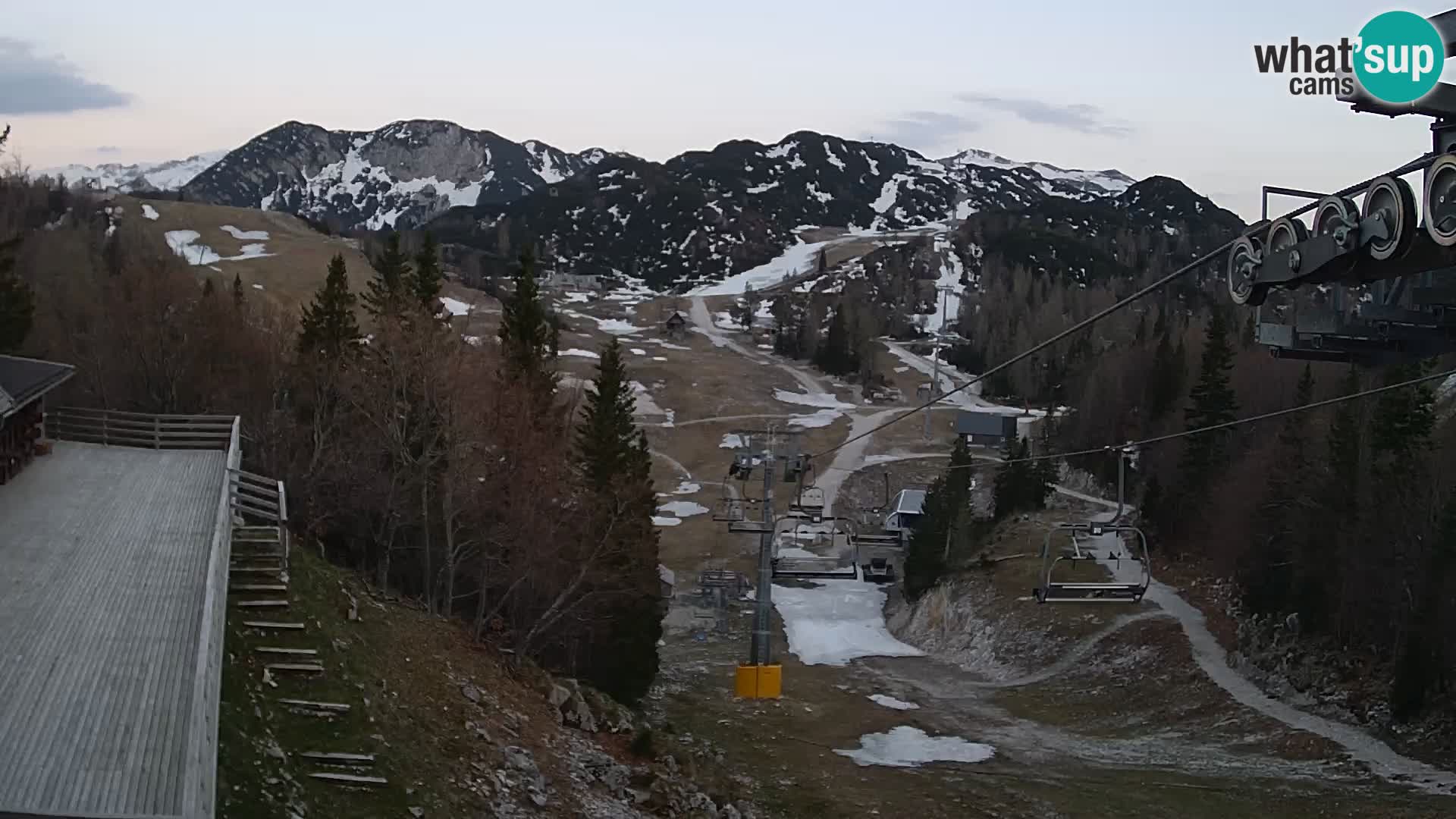 Vogel web kamera – Brunarica – Slovenija