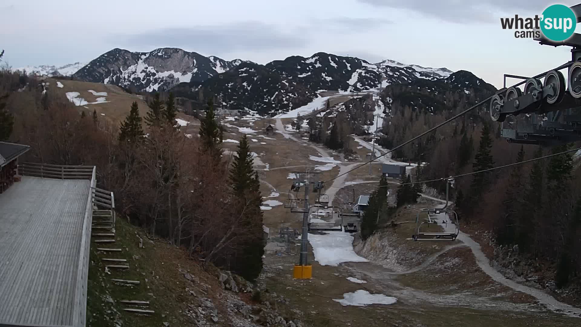 Vogel webcam kamera – Brunarica – Slowenien