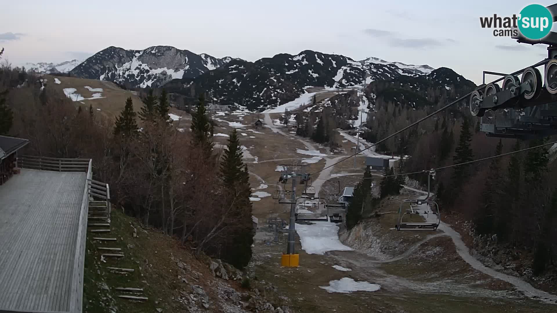 Vogel web kamera – Brunarica – Slovenija