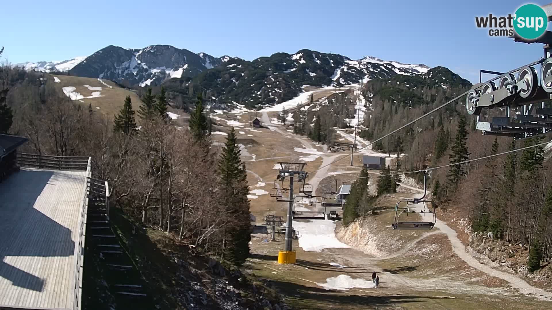 Vogel webcam kamera – Brunarica – Slowenien