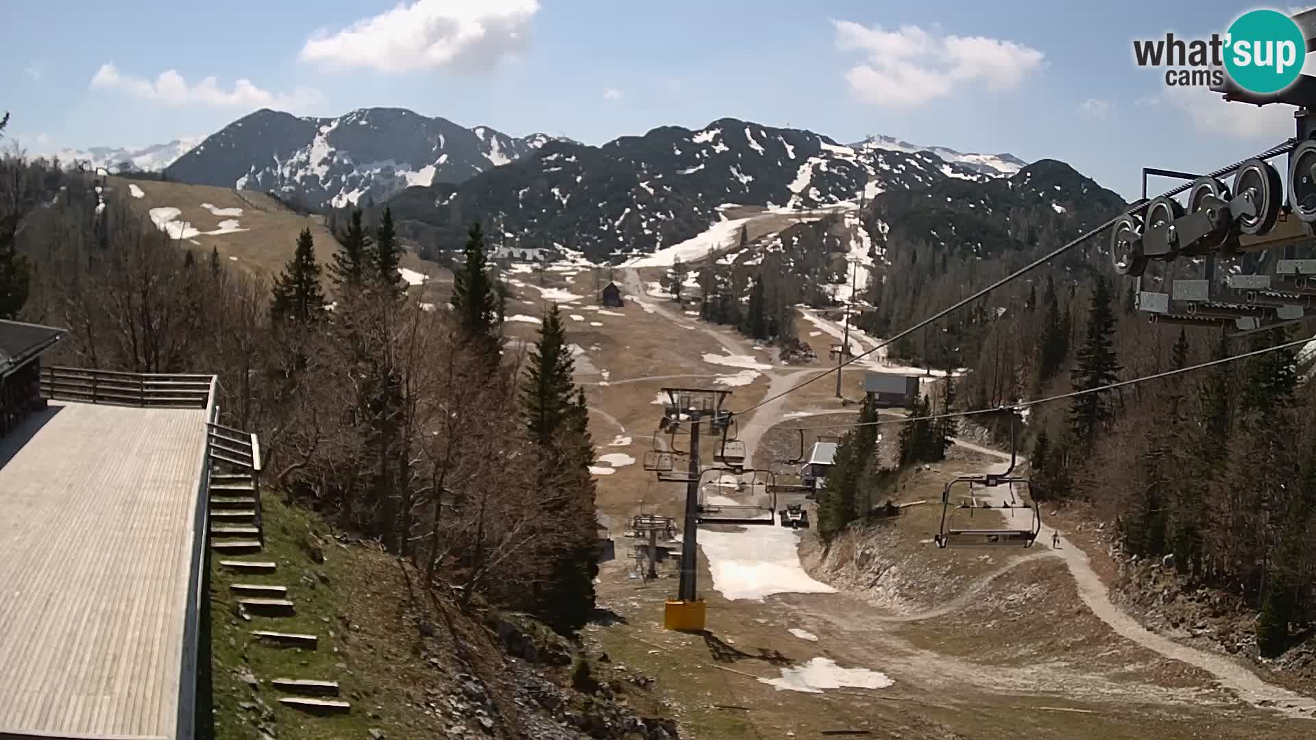 Vogel web kamera – Brunarica – Slovenija
